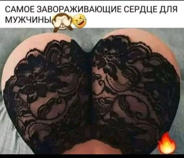 IMG 20260317 130402