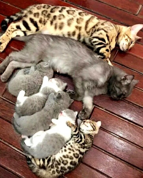 image - 2021-07-20T022806.684