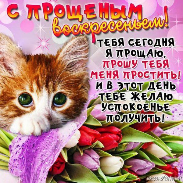 ItGzShgzCew