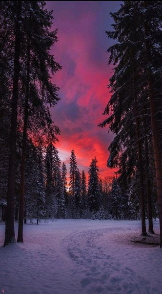 Арт Природа