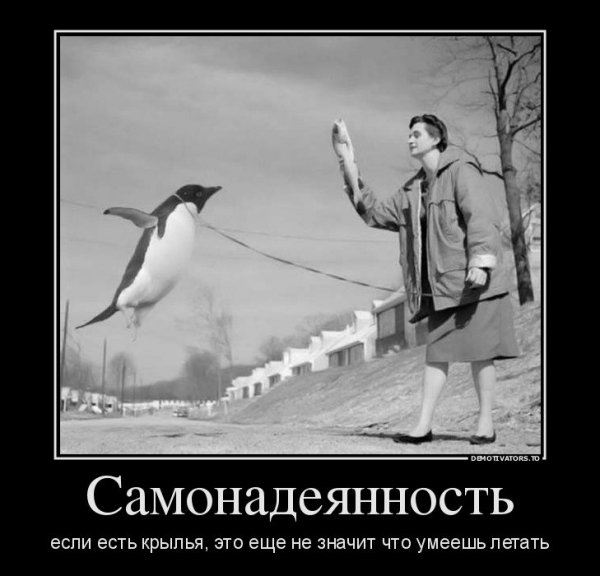 pics