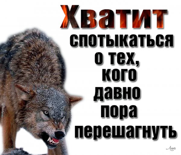 IMG 20211113 014246