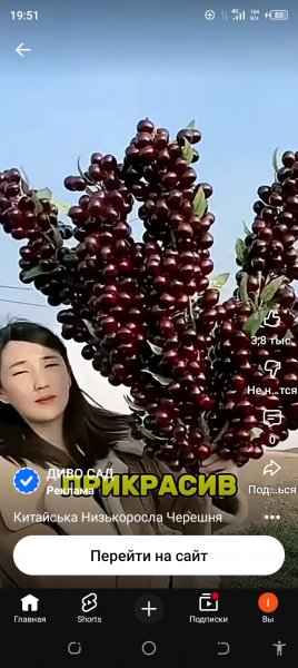 Screenshot 20260409-195140