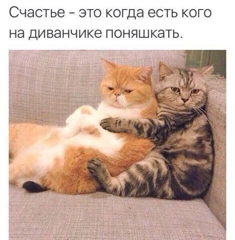 Pozitiv-kotoryj-tak-neobhodim-05
