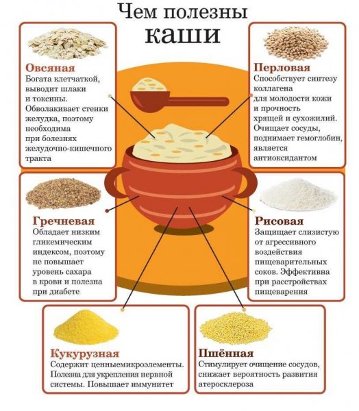 Cheim polezny kashi