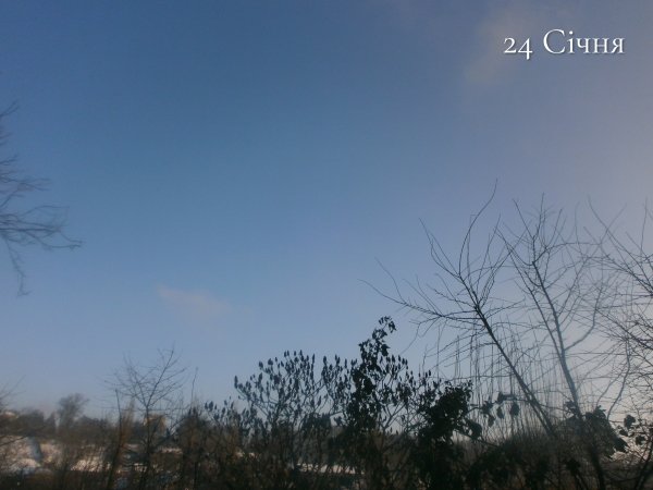 24 Січня