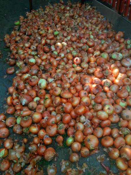 IMG 20240728 125845 998