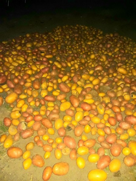 IMG 20240806 204632 746