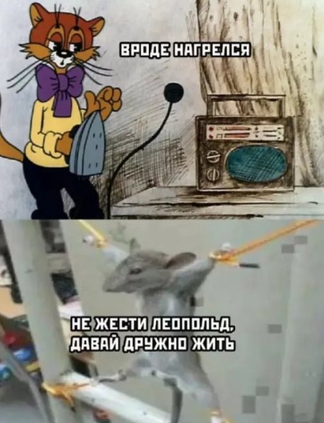 M6qKAeaP8Jg