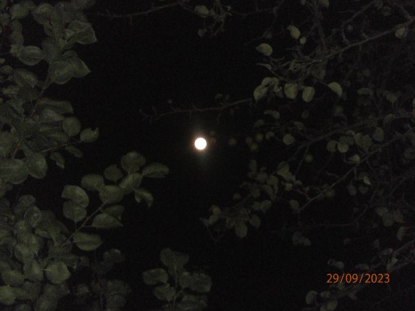 Суперлуние