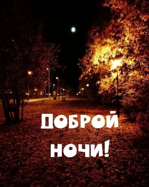 Доброй Ночи