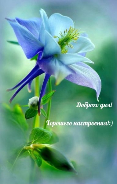 textopics ru 28861