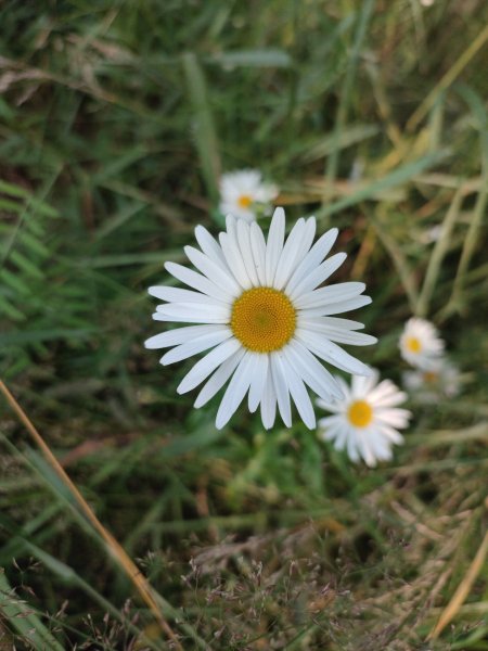 IMG 20210812 194847