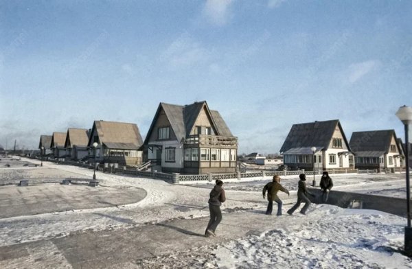 Совхоз "Повадинский" деревня Вельяминово