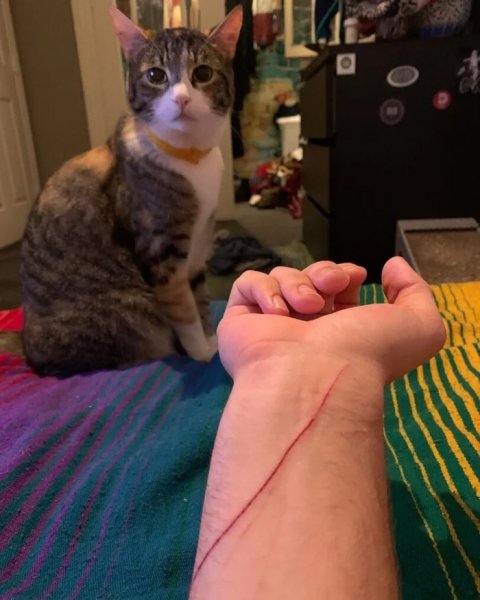 Не надо из себя жертву изображать )