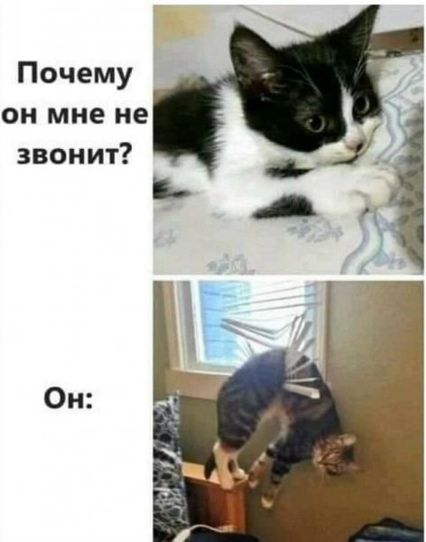 I