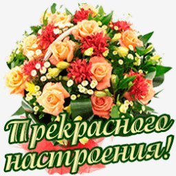 прекрасного настроения