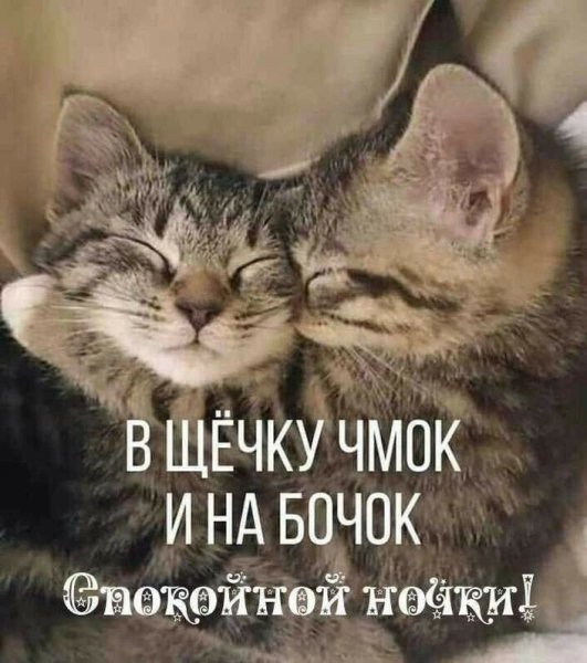 f56f1042013151b4a9afb602d1491