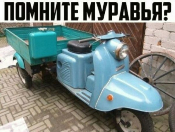 p.600.600.0