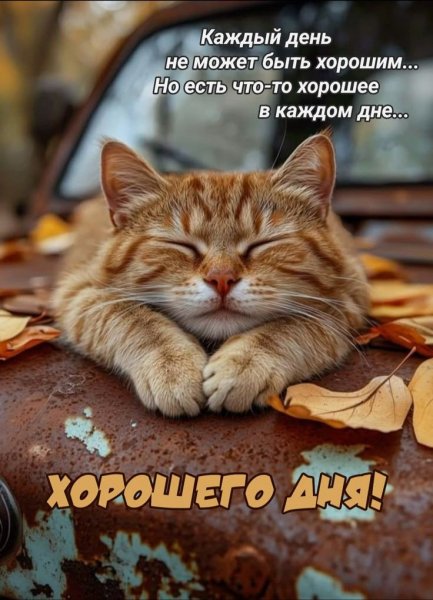 0fb9c84a-6443-4482-b595-1de67a356a62