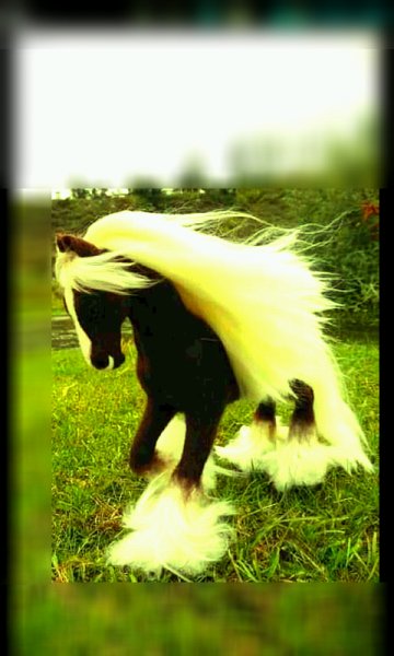 лошадьScreenshot-51E001