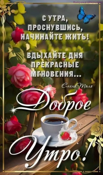 FB IMG 1720934705543