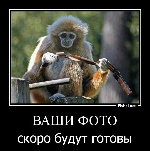 pics