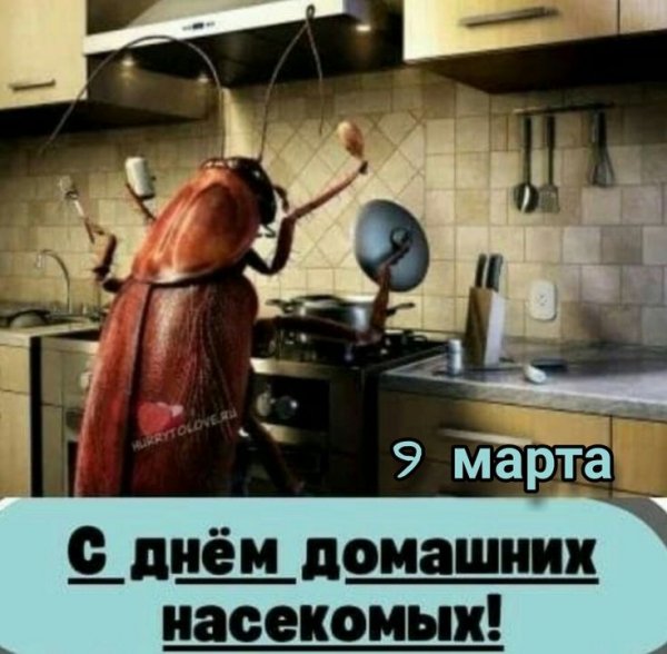 B3735e3e6f887baa5751183caf469c9e