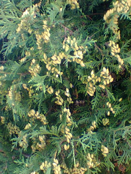 Nuotrauka91