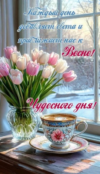 IMG 20260301 235052 989