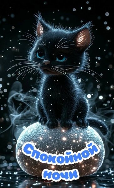 Q9NfsQh0B2FrYYERnBpwp6pHvoFfHBwJfdCuce icebBNoRRA5uoTbV6