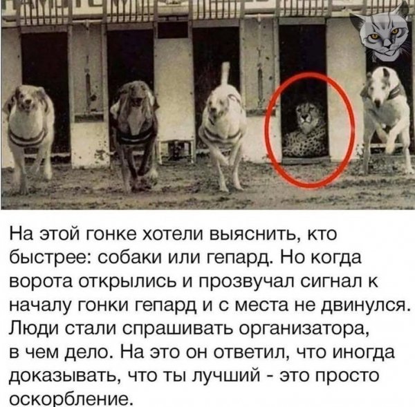 Достоинство