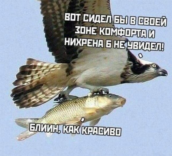 FB IMG 1623303288316