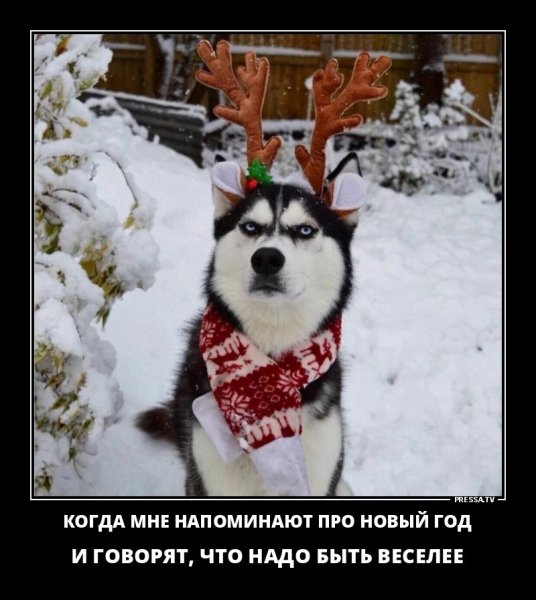 Новый год близко