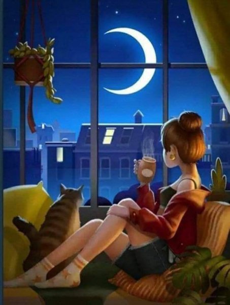 FB IMG 1730458725375