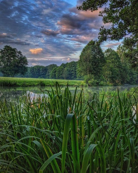 Pysh4kmPpyw