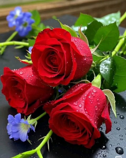 Bec661aa593fcf8aefc84218fc972bf7