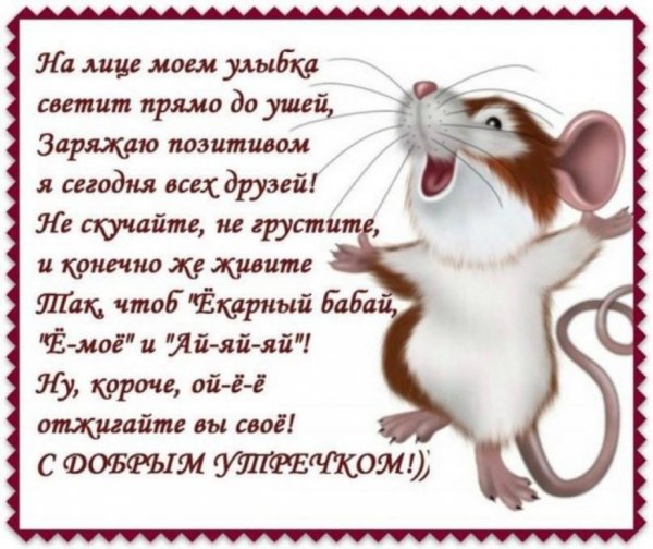 -club-p-dobroe-utro-prikolnie-shutochnie-pozhelani-55