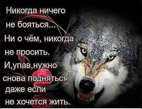 picture_190956992
