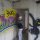 King Kong The Official Game o