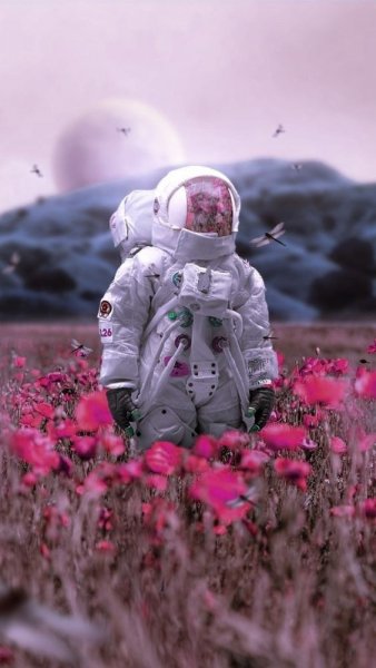 ab0b09dd29ce7ec2c8dbfc94995cf