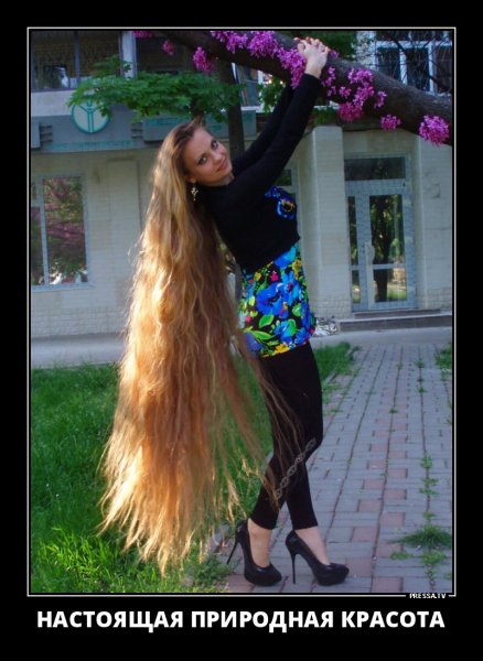 B60108C2-9E96-49B4-BBDA-85B672B5F795