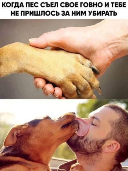 Фу )