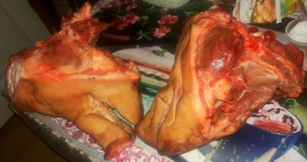 IMG 20240731 212811 039