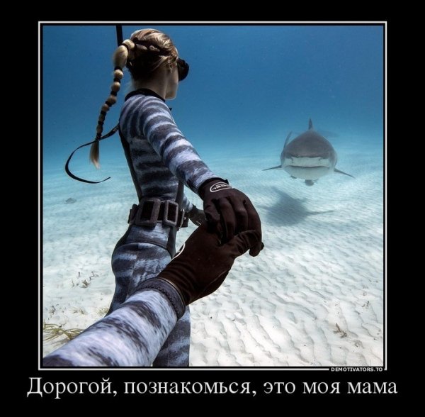 Знакомство