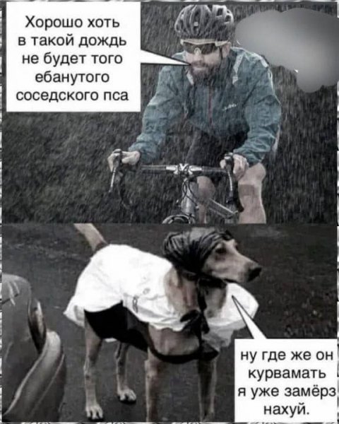 2d02f6f93a 20399390