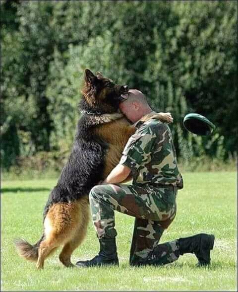 FB IMG 15258682180548628