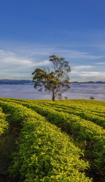 Screenshot 20260222-165628 One UI Home