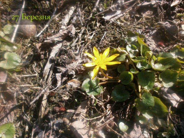 27 Березня
