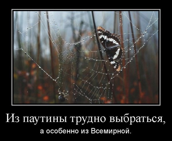 Верно!
